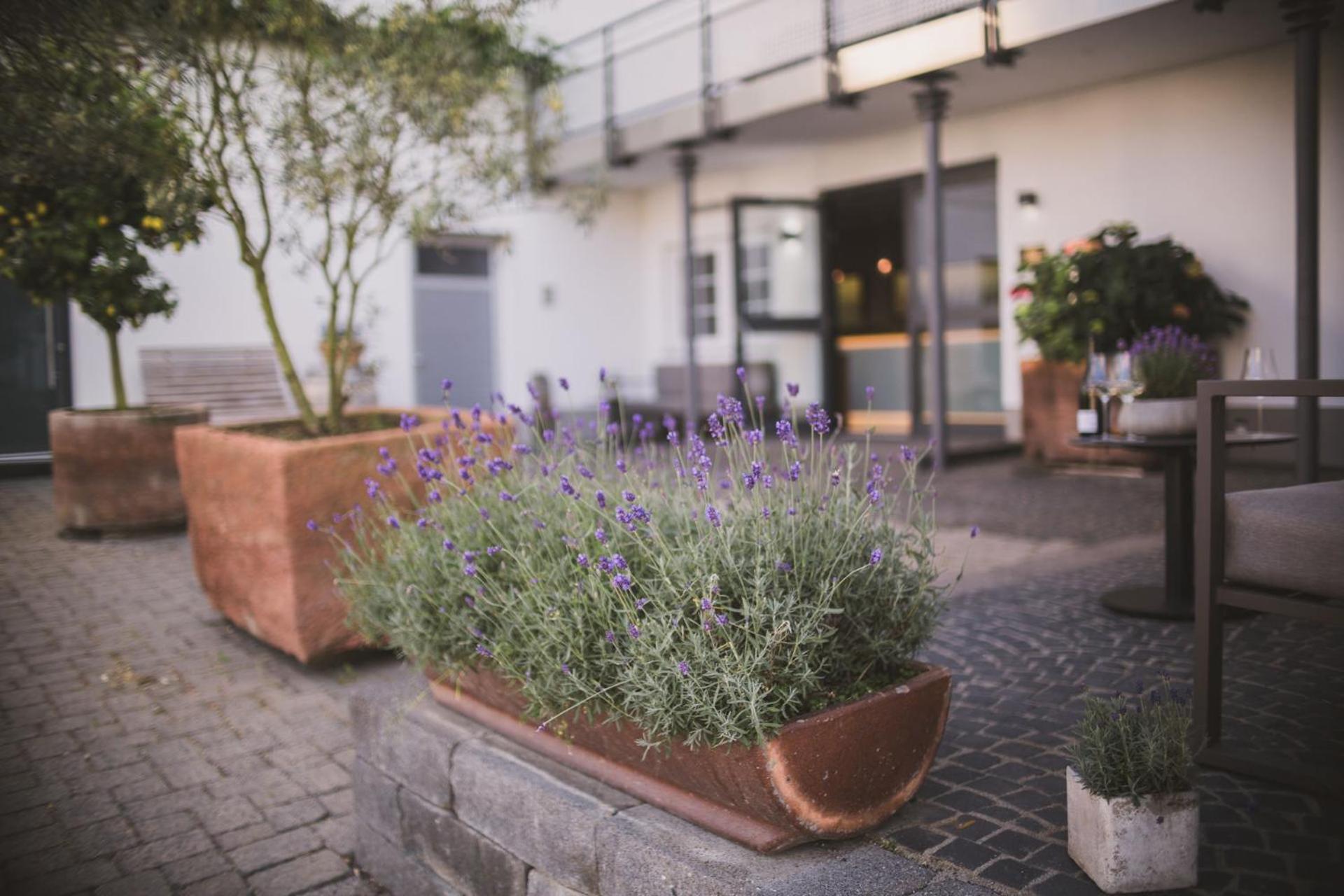 Weingut Gehlen-Cornelius Hotel เบราเนอแบร์ก ภายนอก รูปภาพ
