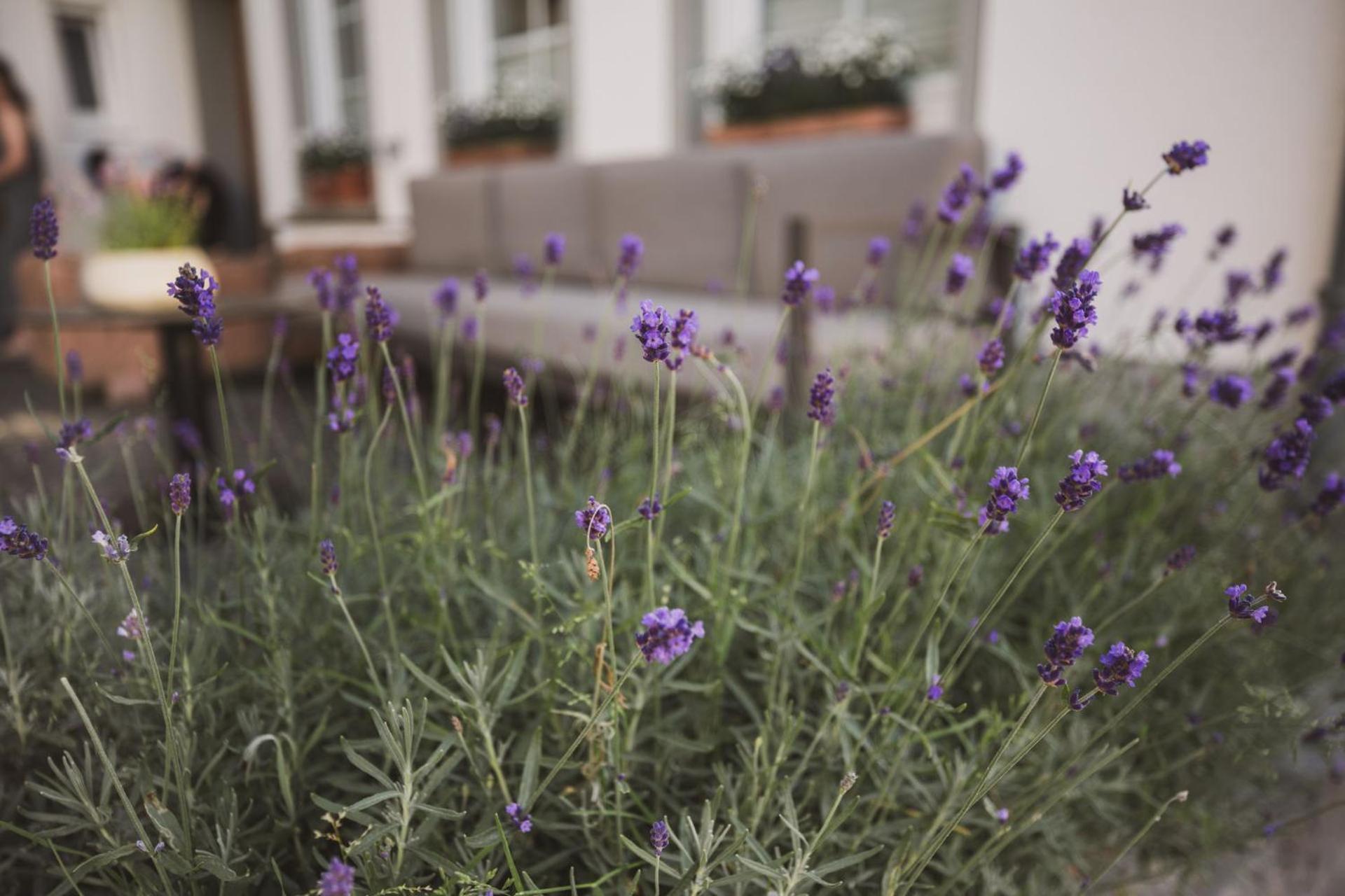 Weingut Gehlen-Cornelius Hotel เบราเนอแบร์ก ภายนอก รูปภาพ
