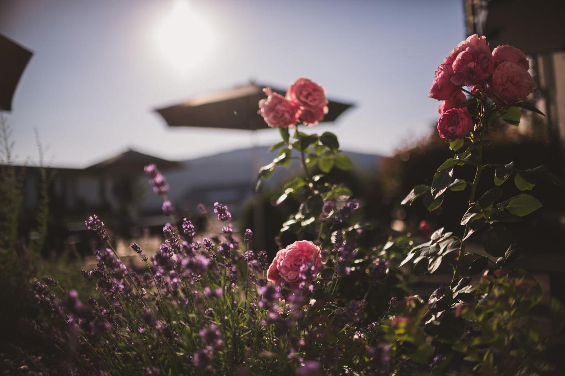 Weingut Gehlen-Cornelius Hotel เบราเนอแบร์ก ภายนอก รูปภาพ