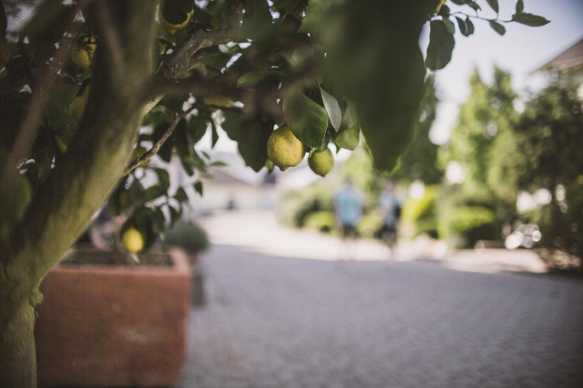 Weingut Gehlen-Cornelius Hotel เบราเนอแบร์ก ภายนอก รูปภาพ