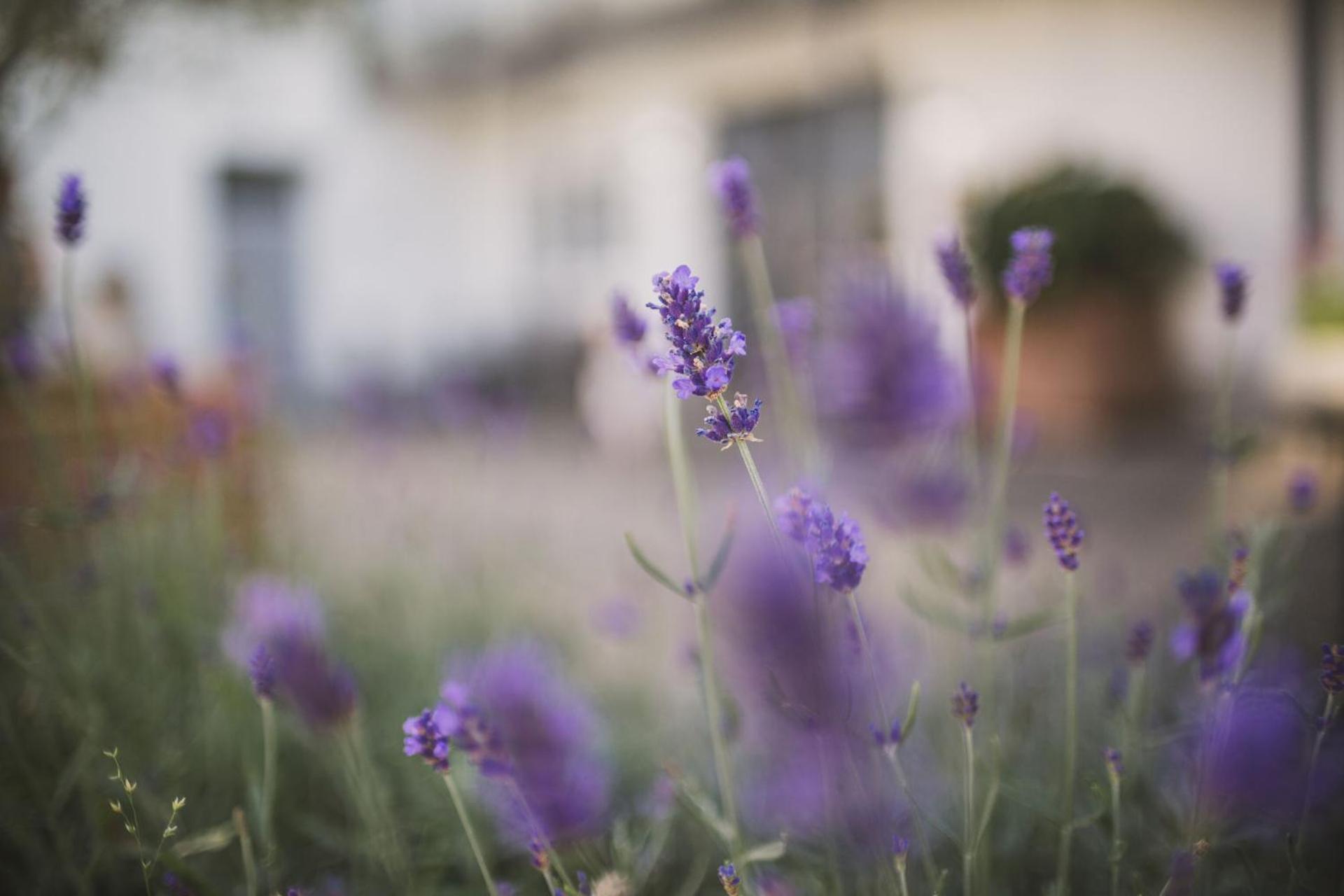 Weingut Gehlen-Cornelius Hotel เบราเนอแบร์ก ภายนอก รูปภาพ